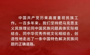 推进中华民族共同体建设，习近平这样强调