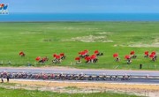 【跟着赛事去旅行】环青赛最长赛段启程 一路邂逅共和绝美风光