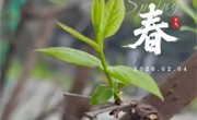 立春 | 万物复苏 春回大地 