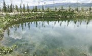 【守护绿色·生态海南】青海湖之南的绿色守望